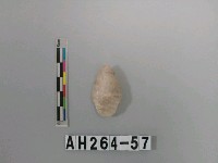 藏品(帶鋌打製石鏃)的圖片